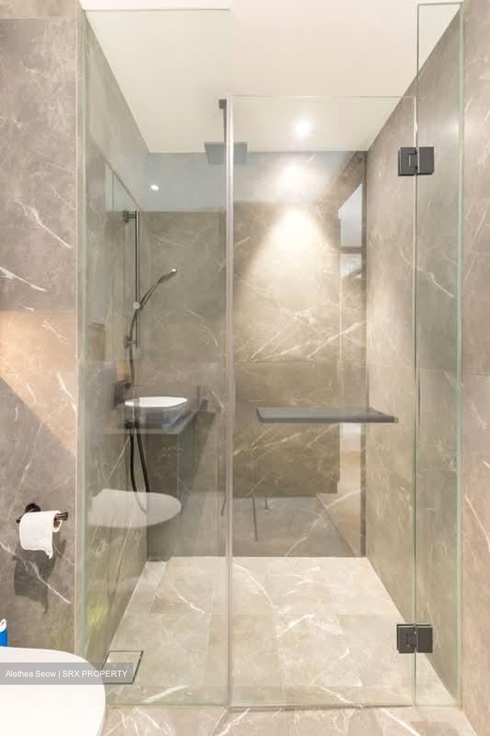 Irwell Hill Residences (D9), Apartment #599455641